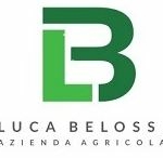 Azienda Agricola Luca Belossi